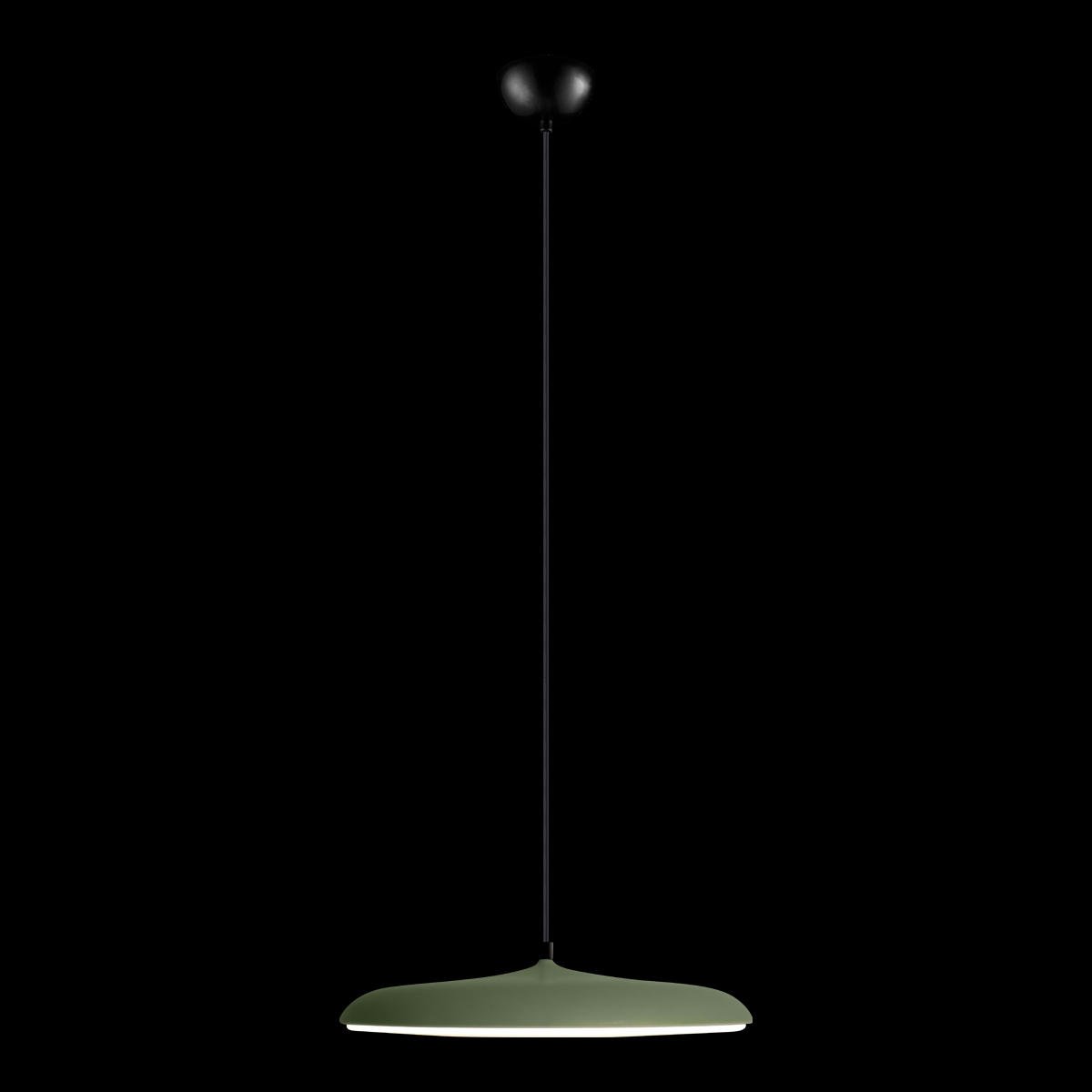 10119 Green Светильник подвесной Loft It Plato 10119 Green