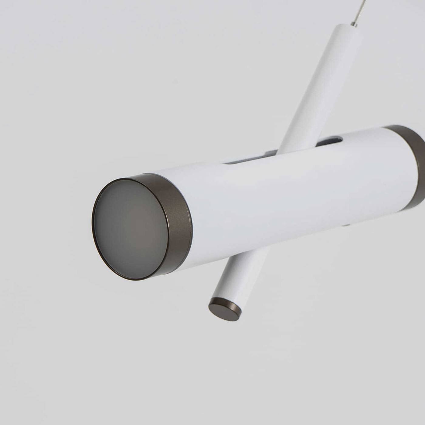 Светильник подвесной Favourite Duplex 2325-2P