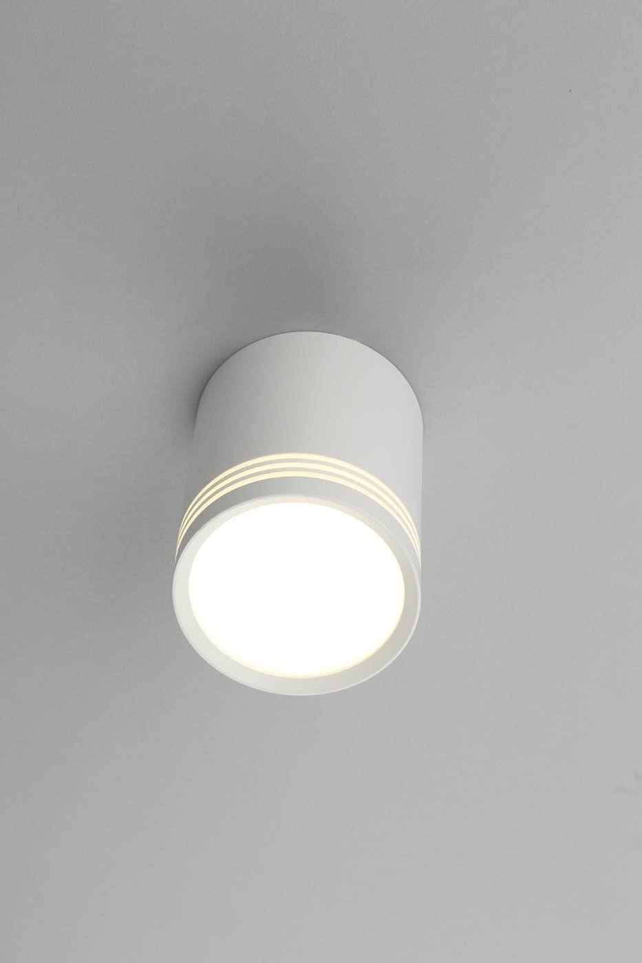 Накладной светильник Omnilux Fortezza OML-100109-12