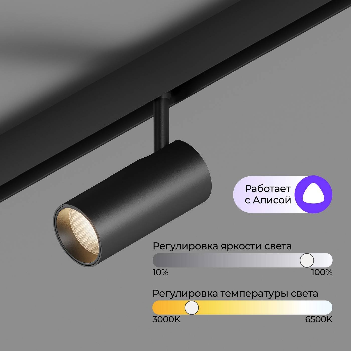 Трековый светильник ElDeko Hesby Lighting HSBL_0238