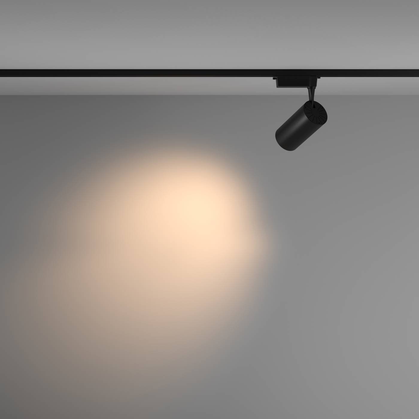 TR003-1-36W3K-M-B Трековый светильник Maytoni Vuoro Unity TR003-1-36W3K-M-B