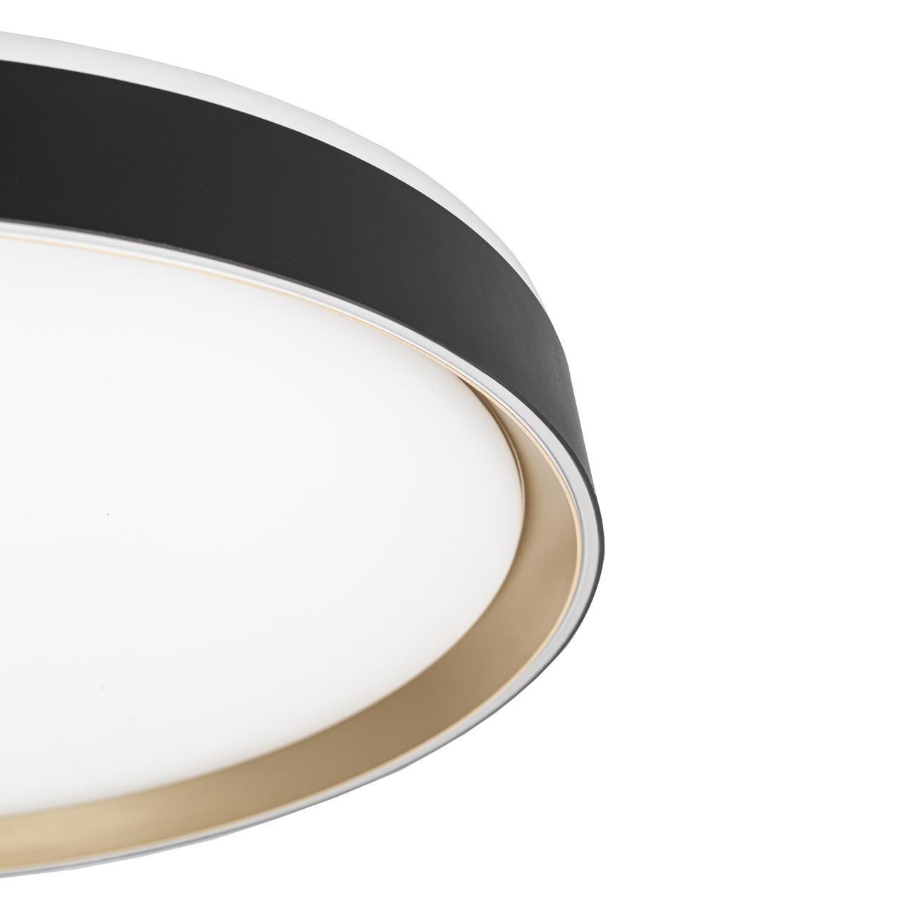 CL751451G Светильник потолочный Citilux Boss CL751451G