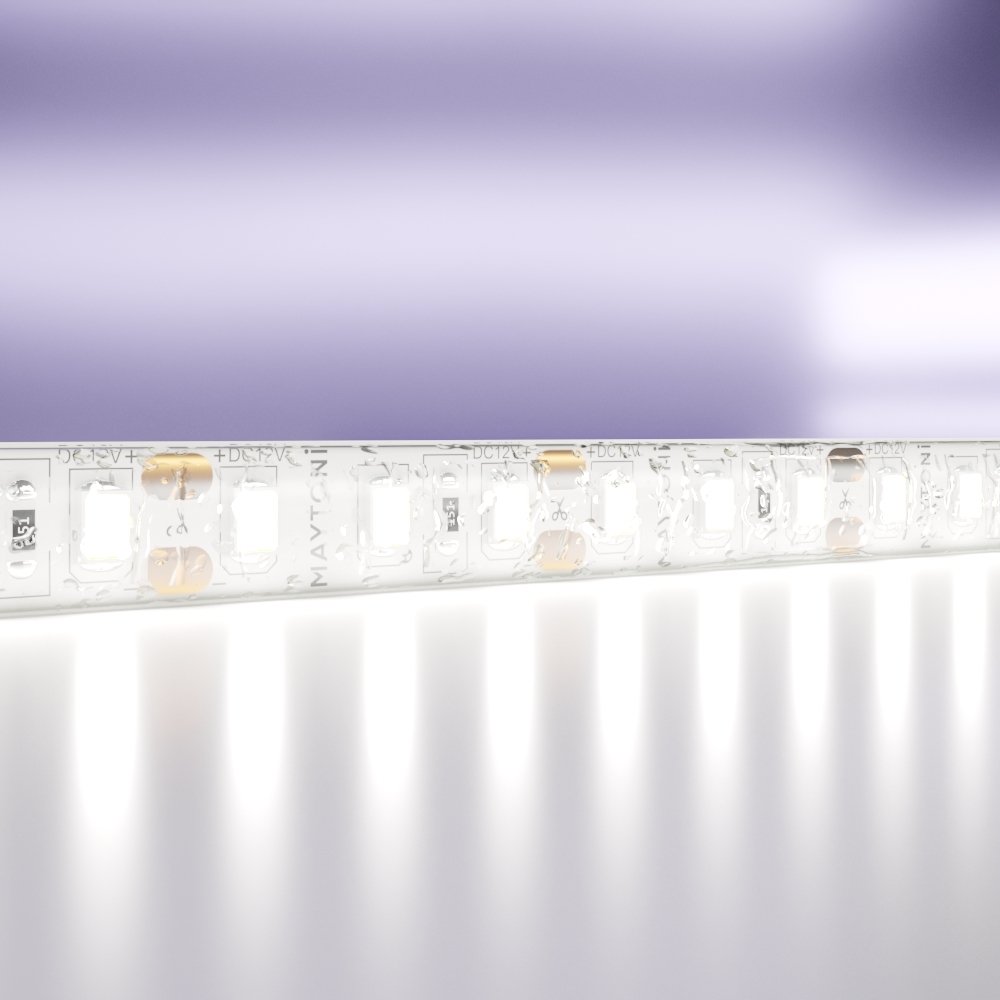 LED лента Maytoni LSM 12V 2835 10119