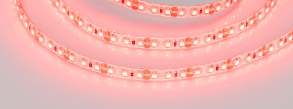 LED лента Arlight RTW герметичная 014880