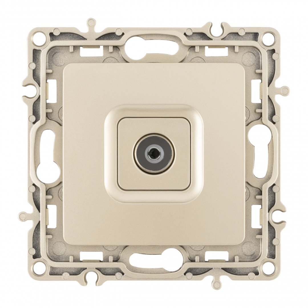 Розетка Arte Milano Am-217 217.43-1.shampan