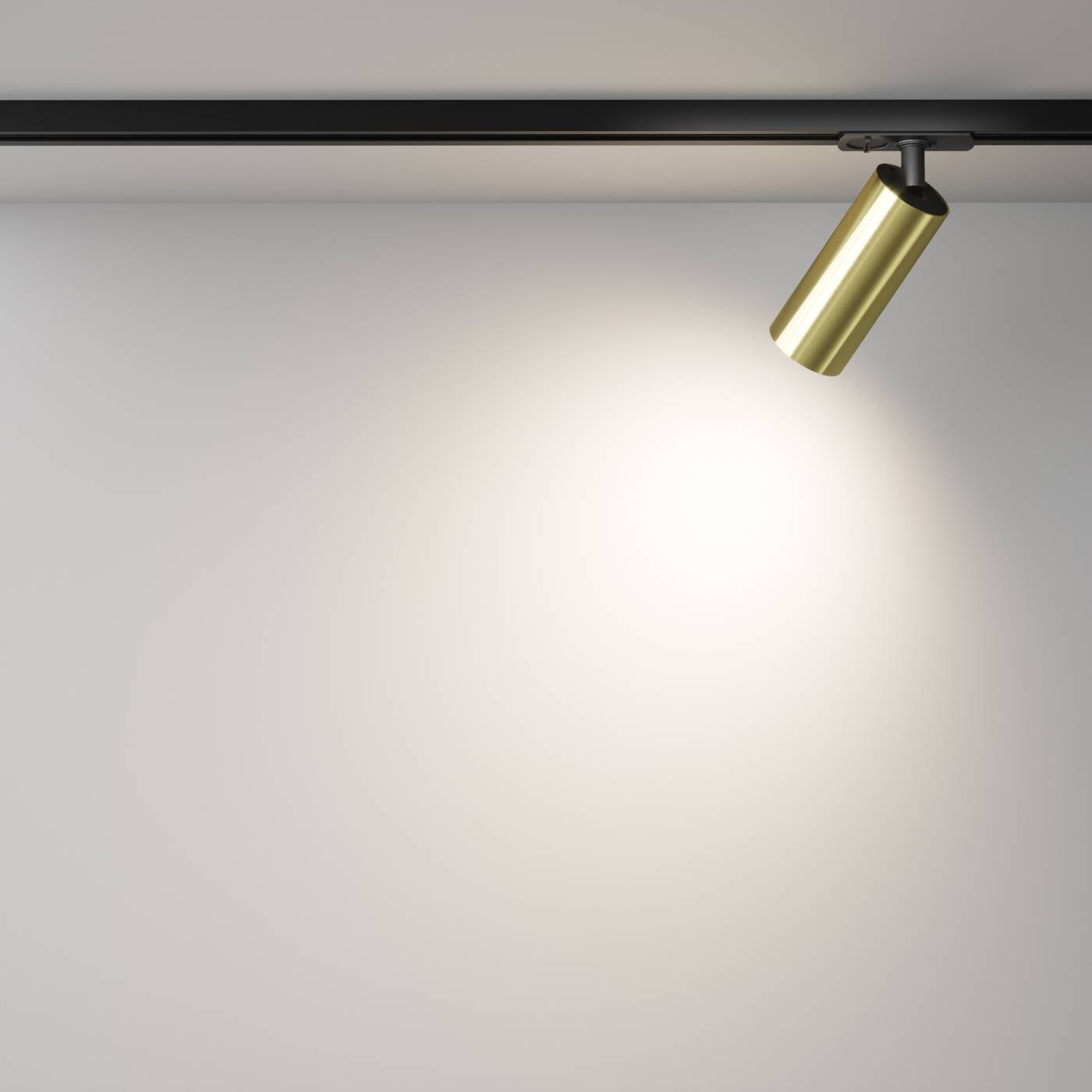 TR021-1-12W4K-W-BBS Трековый светильник Maytoni Focus LED Unity TR021-1-12W4K-W-BBS