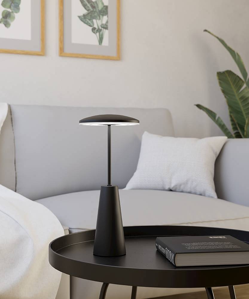 Уличный наземный светильник Eglo Piccola 900925