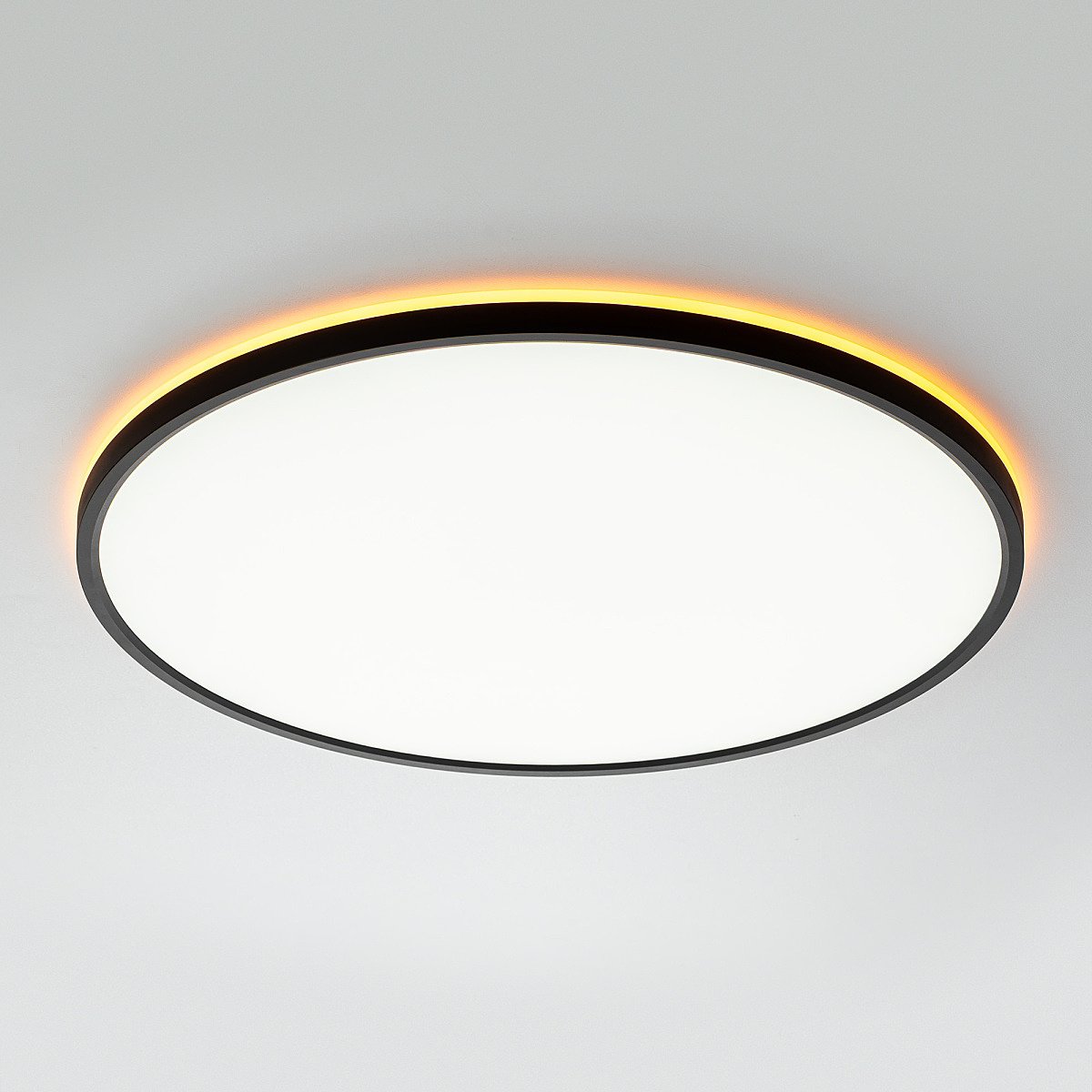 Светильник потолочный Citilux NORMA CL749501