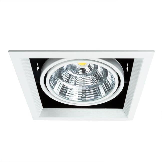 A8450PL-1WH Встраиваемый светильник Arte Lamp Merga A8450PL-1WH