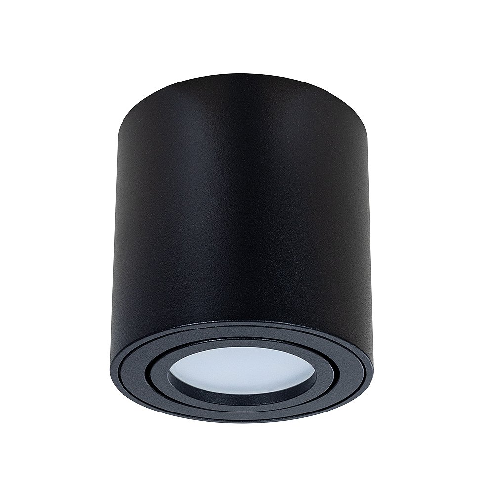 A1513PL-1BK Накладной светильник Arte Lamp Beid A1513PL-1BK
