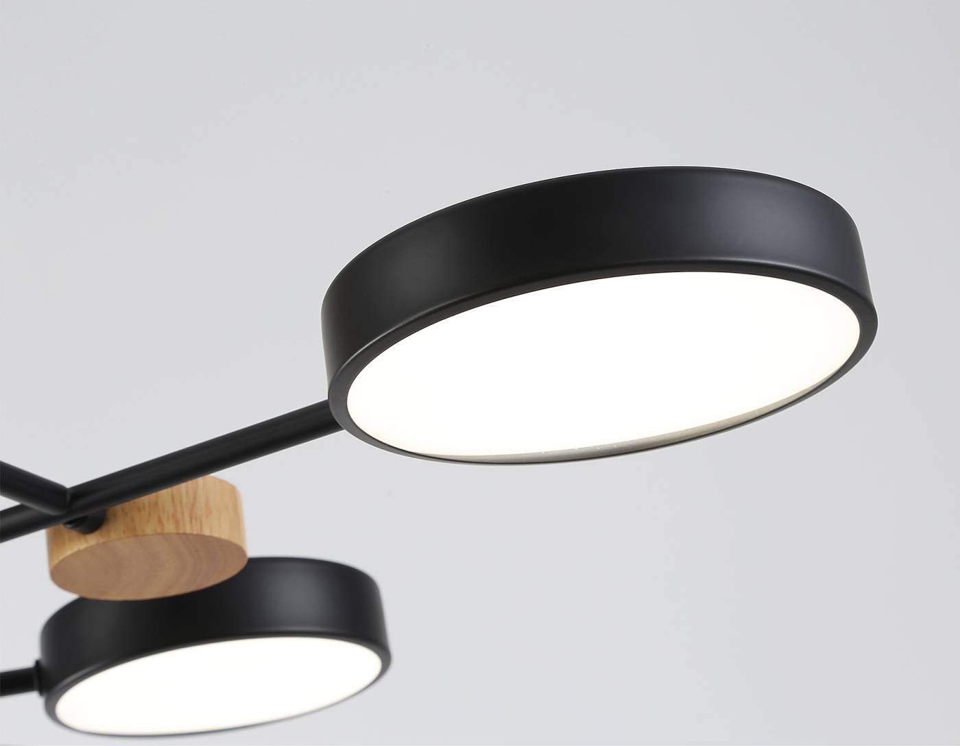 Потолочная люстра Ambrella LineTech FL4863