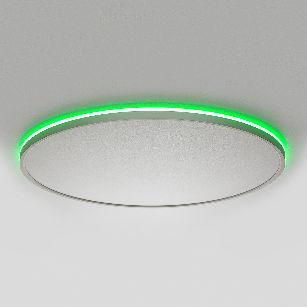 CL749600 Светильник потолочный Citilux Norma CL749600