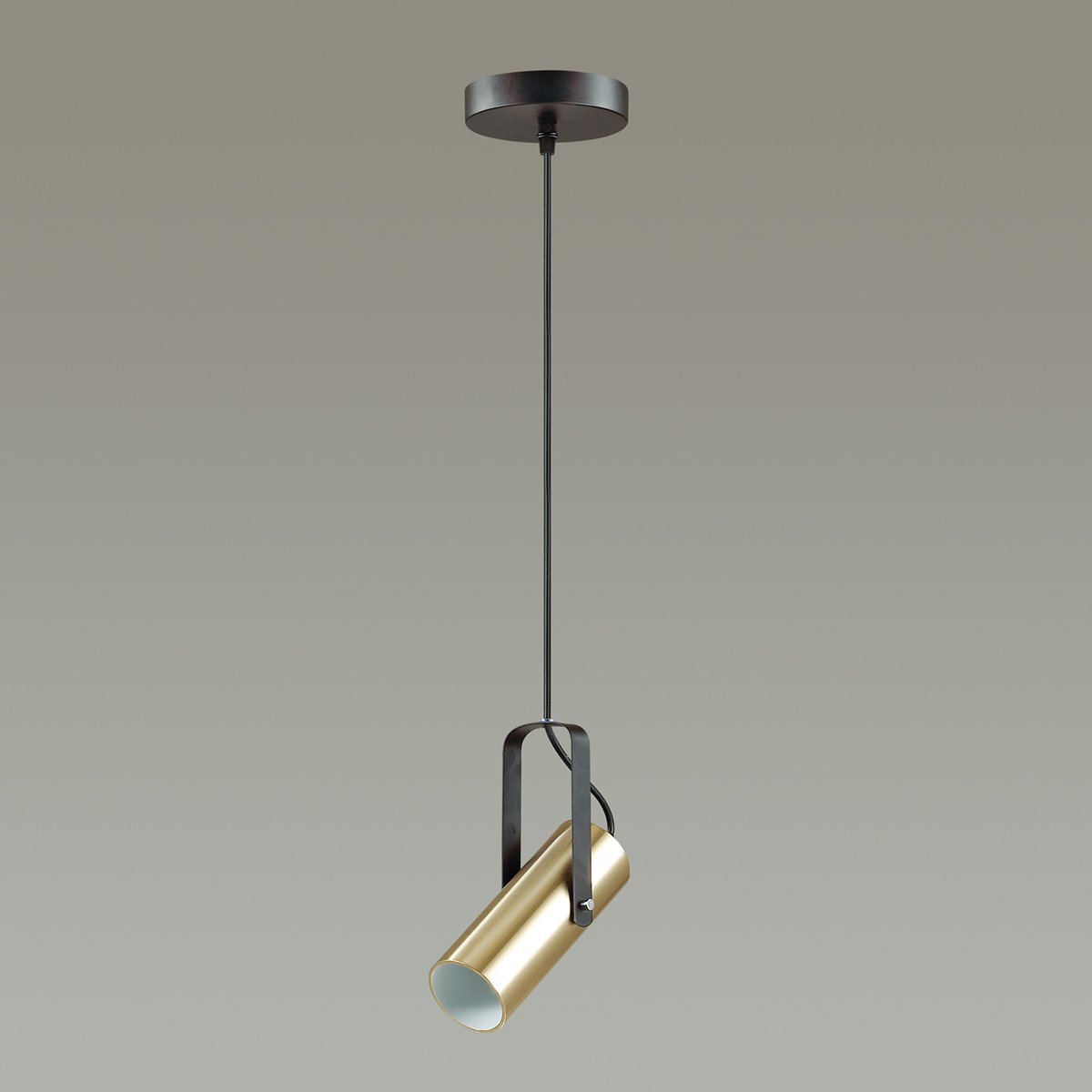 Светильник подвесной Lumion Claire 3714/1