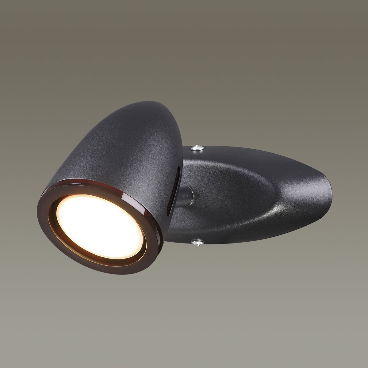 Светильник спот Odeon Light Imagio 3824/1W