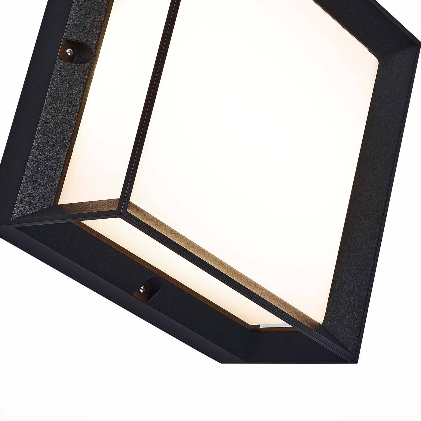 SL077.402.01 Уличные потолочные ST Luce Cubista SL077.402.01