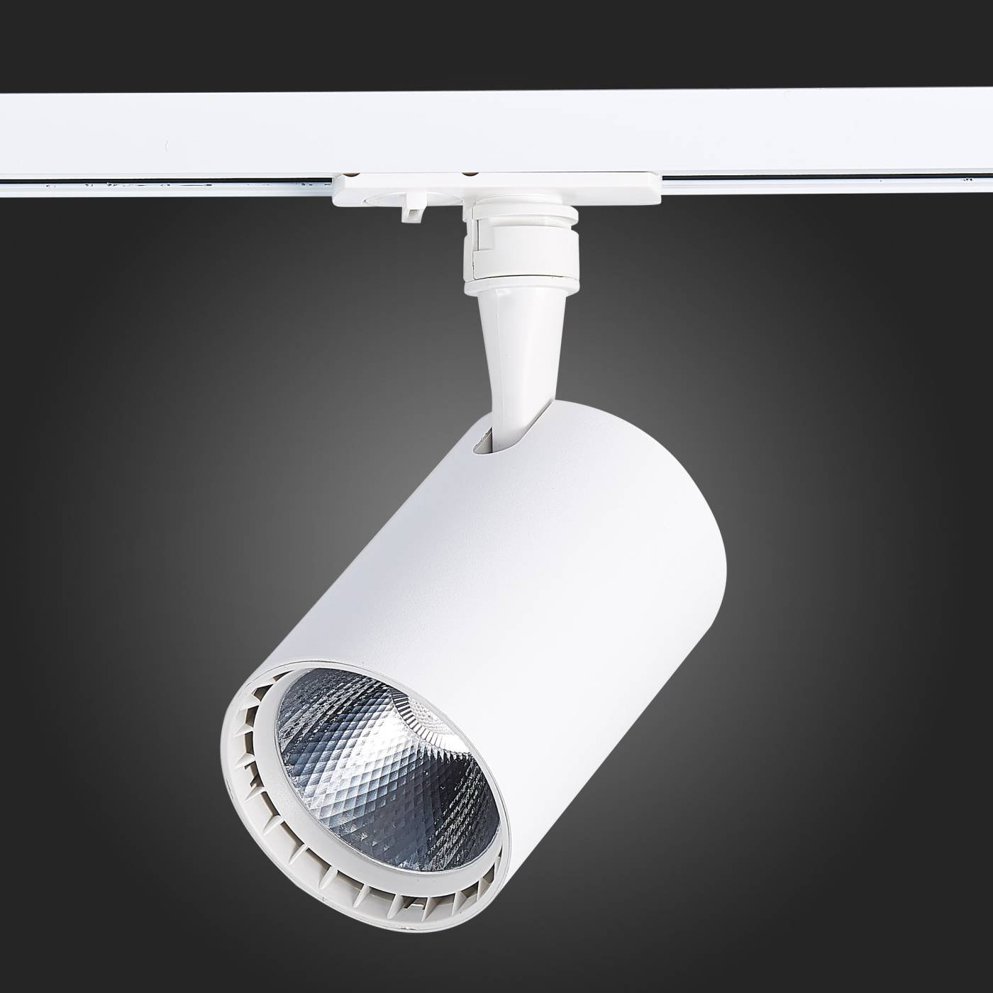 ST351.536.20.36 Трековый светильник ST Luce Cami ST351.536.20.36