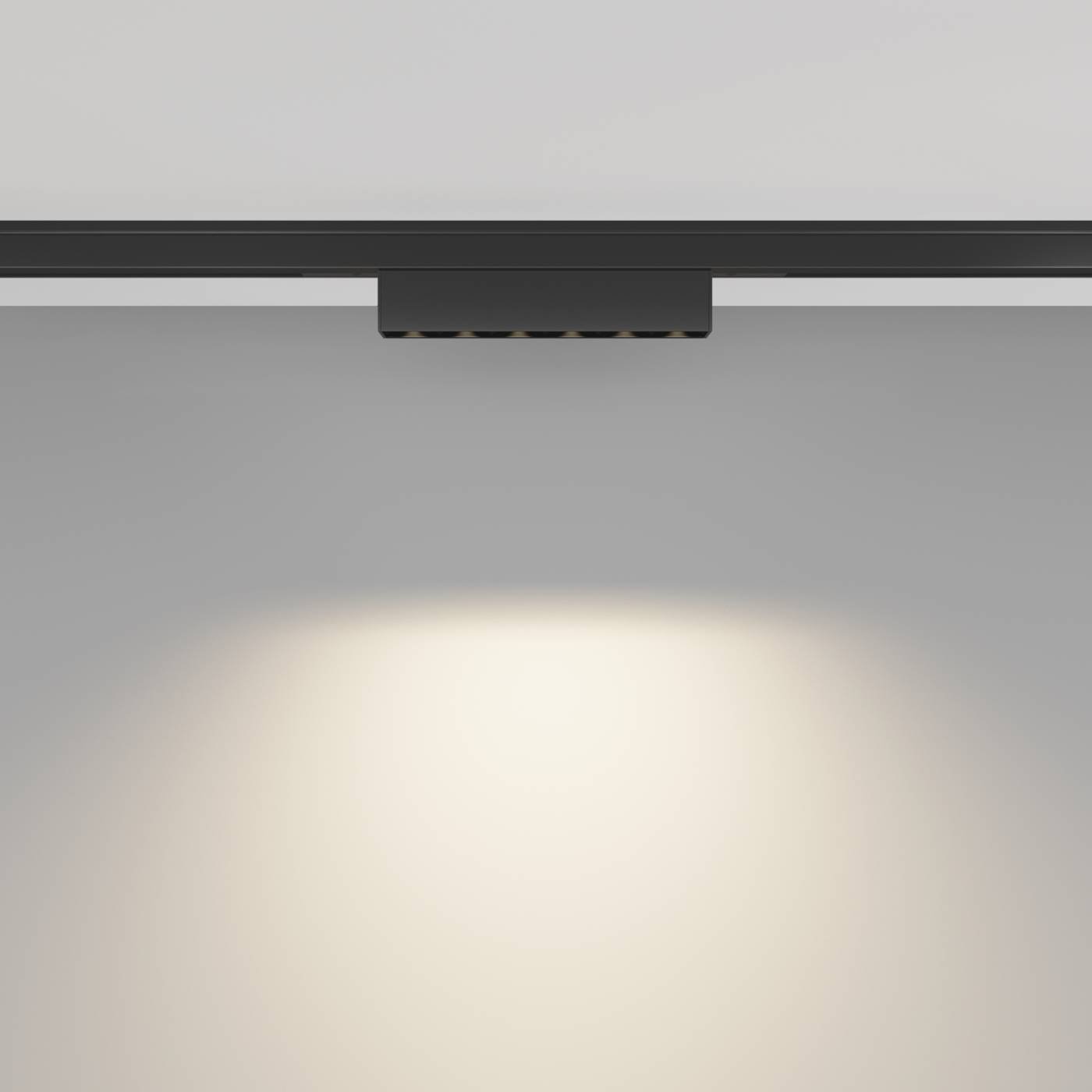 Трековый светильник Maytoni Points TR193-1-5W2.7K-M-B