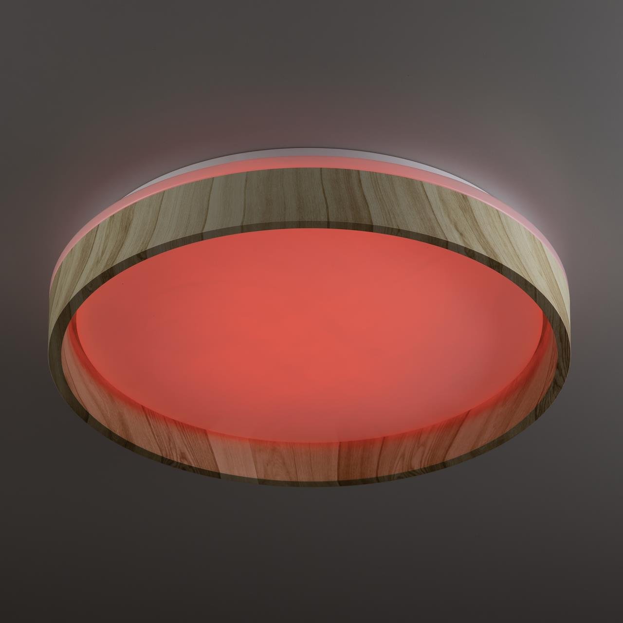 CL753352G Светильник потолочный Citilux Enzo CL753352G