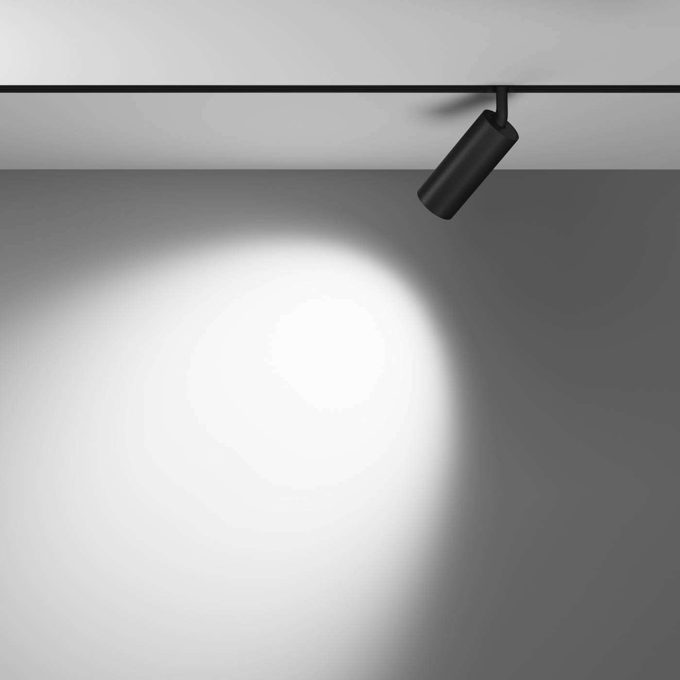 Трековый светильник Maytoni Focus LED Exility TR032-2-12W4K-W-B