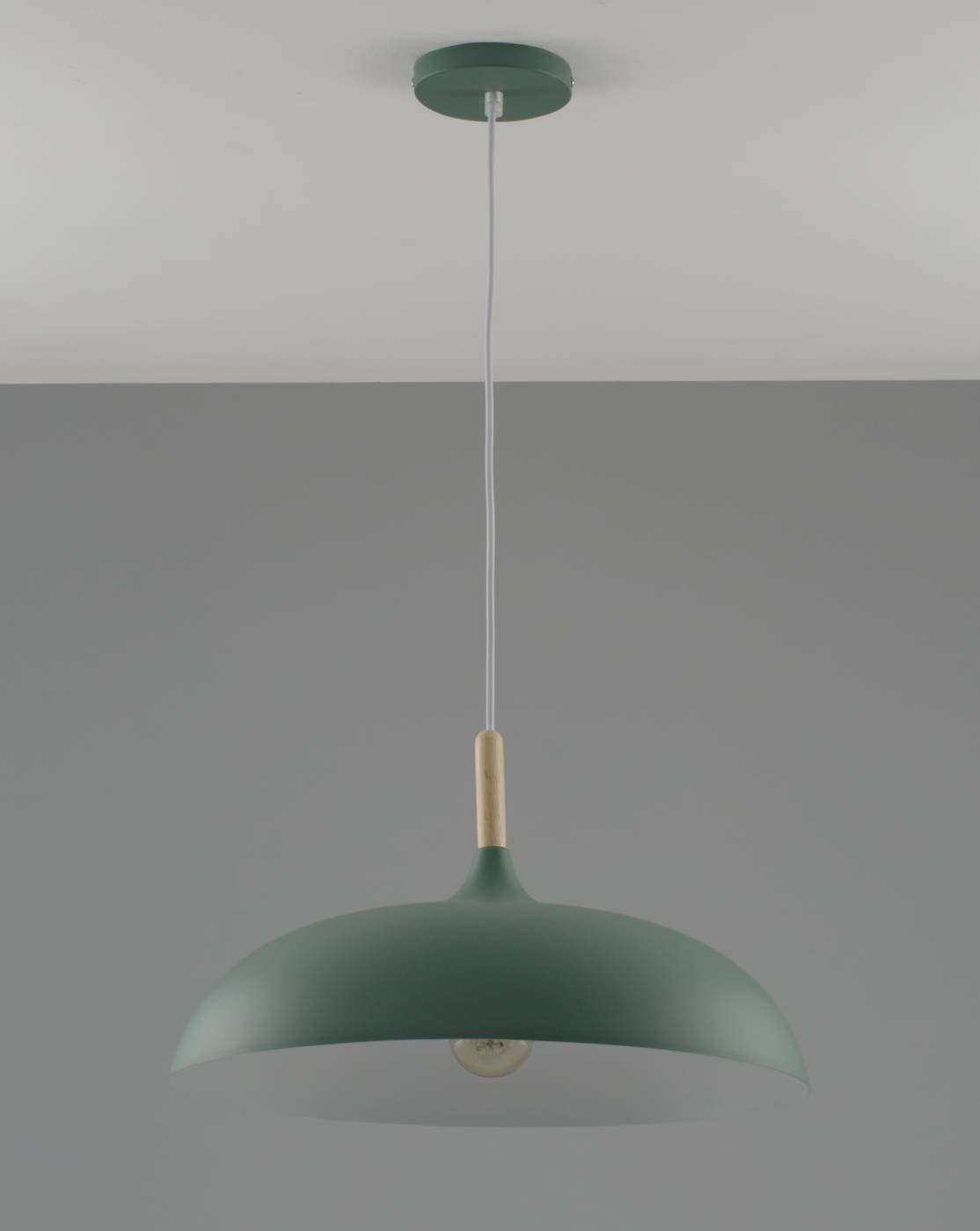 Светильник подвесной Moderli Hygo V10656-1P