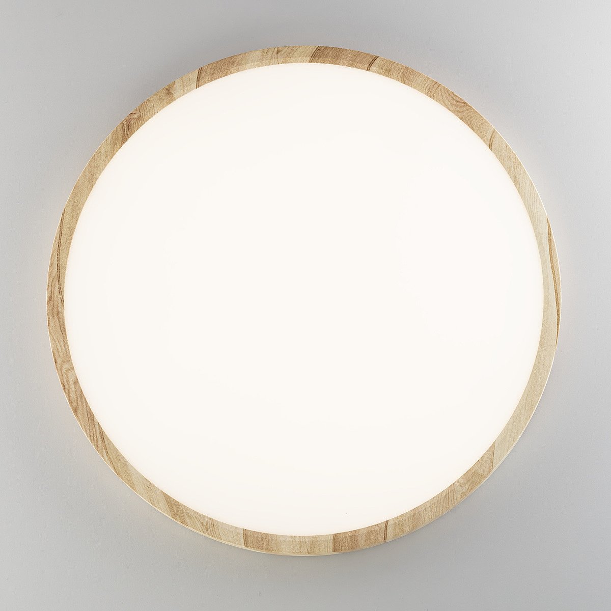 CL738322V Светильник потолочный Citilux Бейсик CL738322V