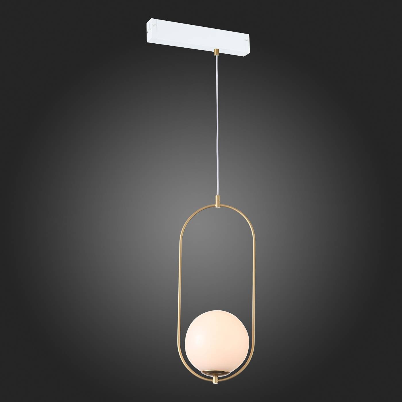 ST500.203.01 Трековый светильник ST Luce Skyline 220 ST500.203.01