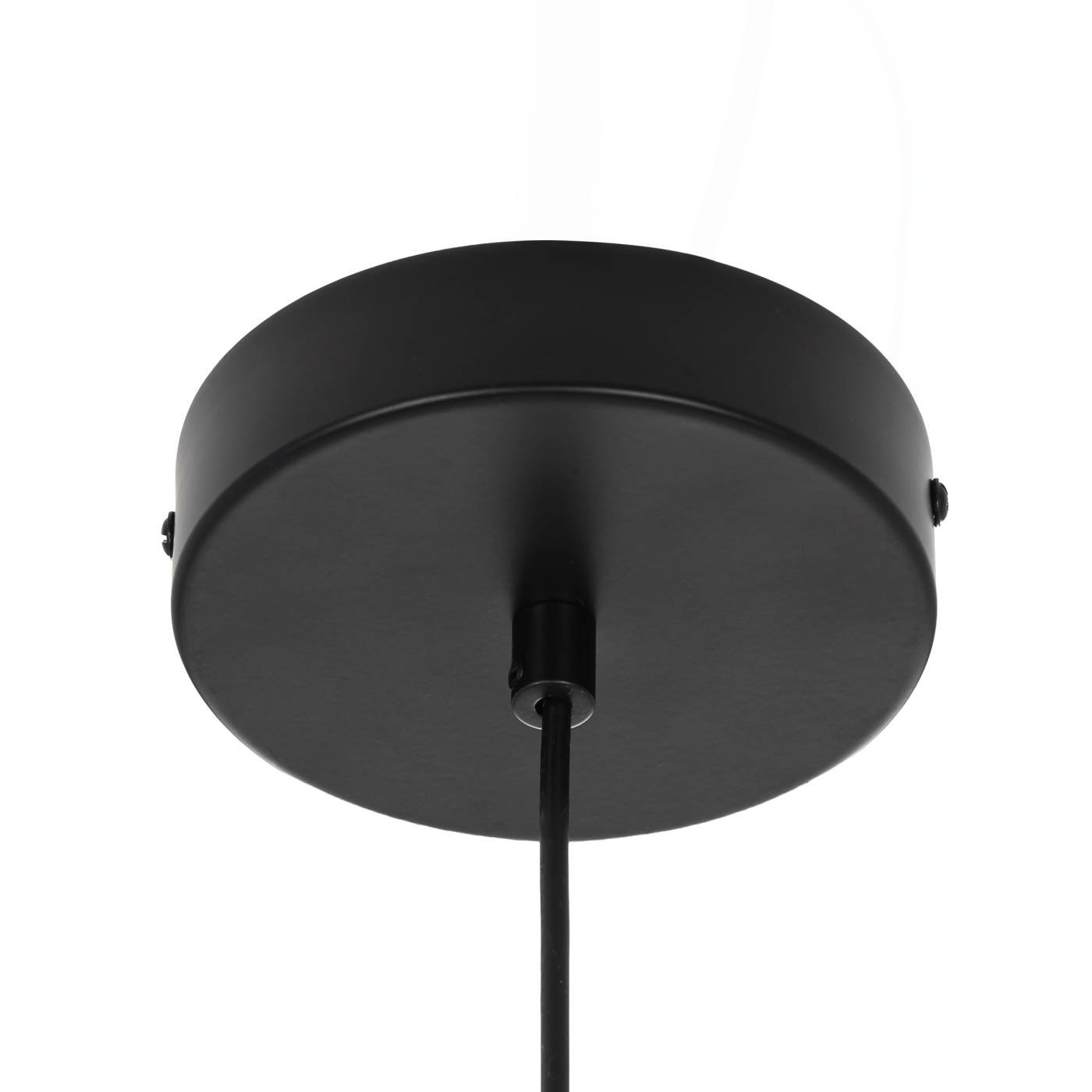 CL246019 Светильник подвесной Citilux Mares CL246019