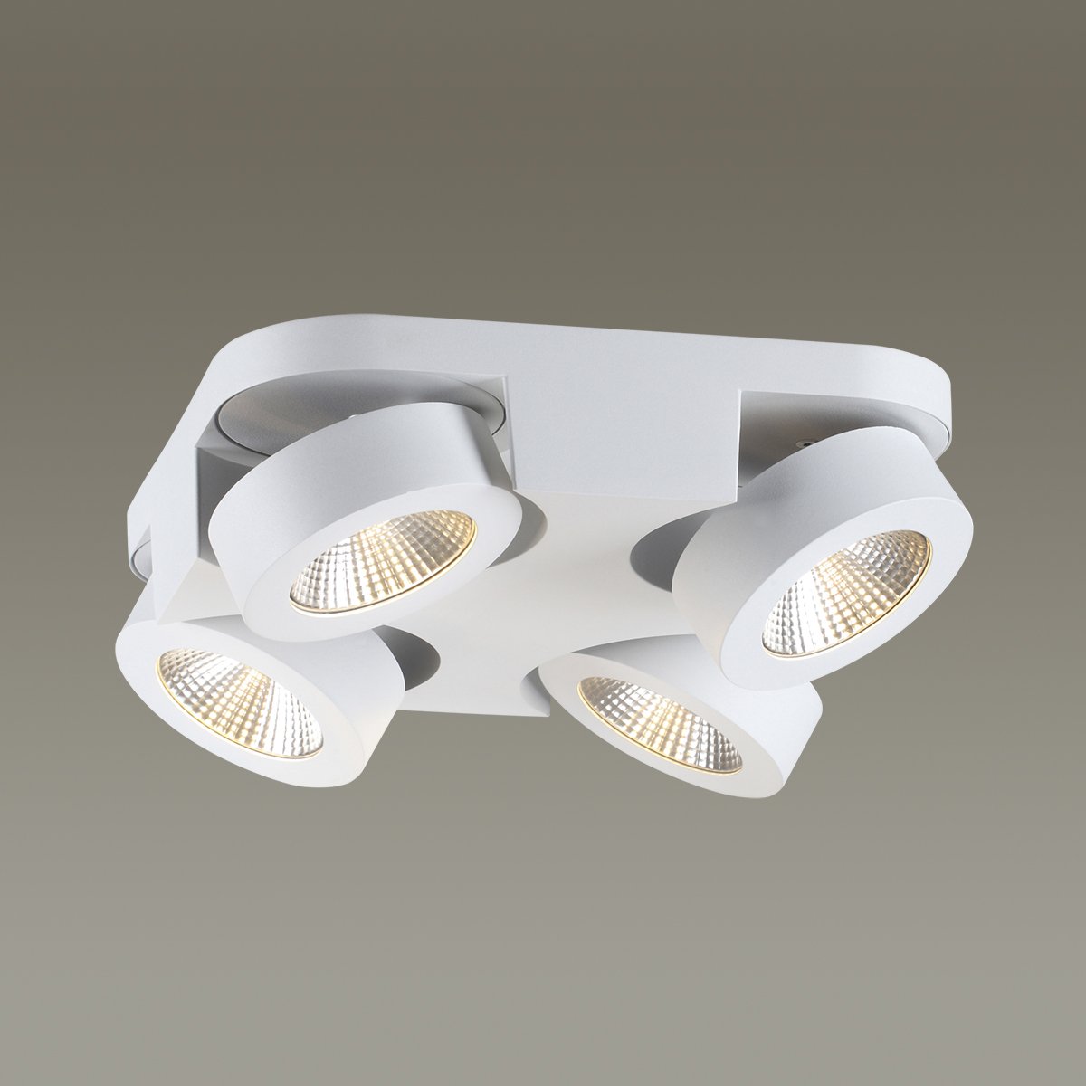 Светильник спот Odeon Light Laconis 3538/4LC