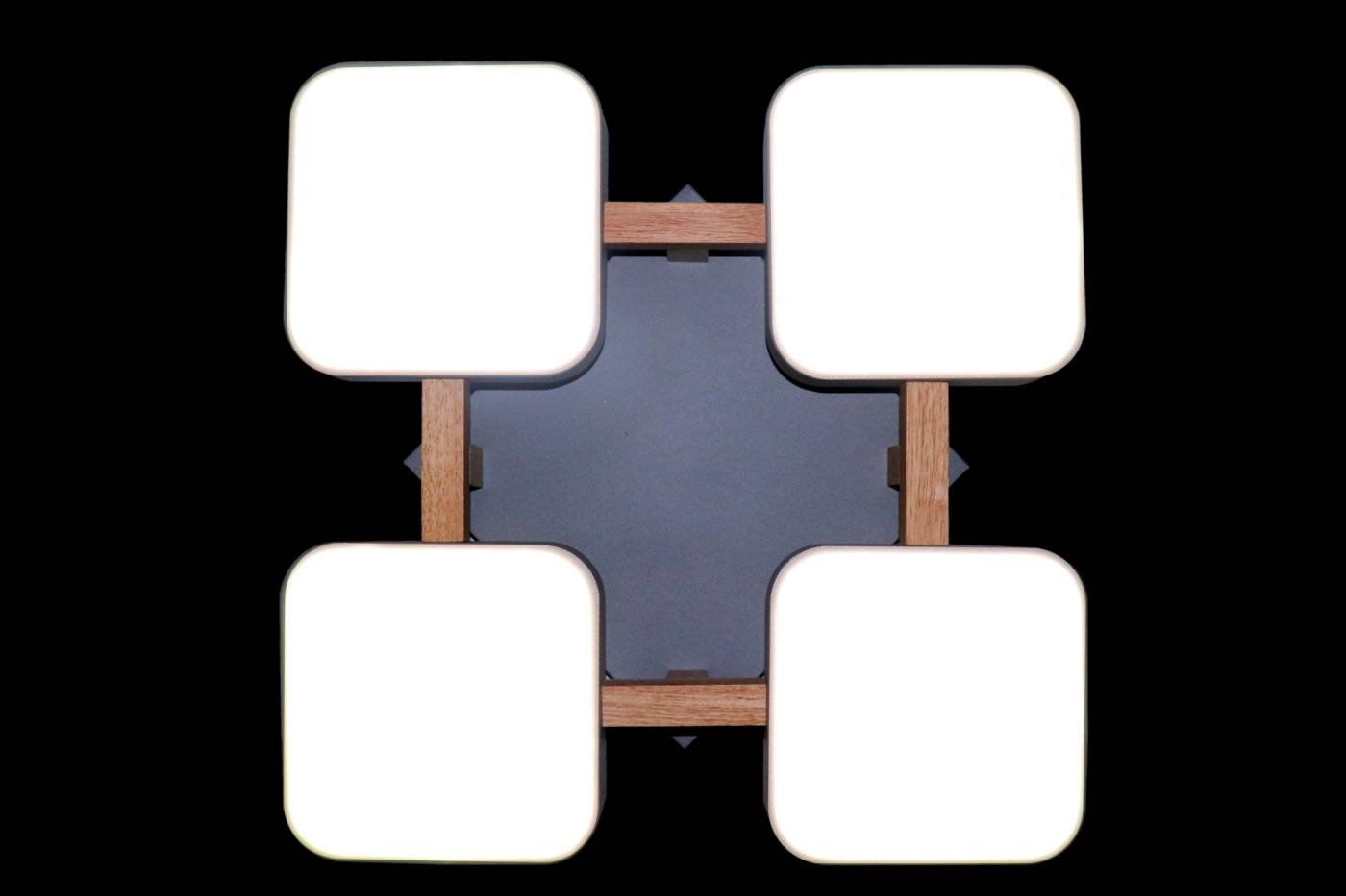 Потолочная люстра Natali Kovaltseva LED LED LAMPS 81324