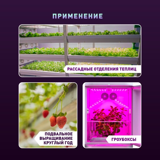 Лампа для растений ЭРА Quantum board FITO-80W-LED-QB