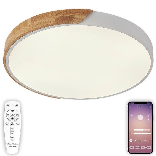 LED LAMPS 81182 Светильник потолочный Natali Kovaltseva Scandinavian LED LAMPS 81182