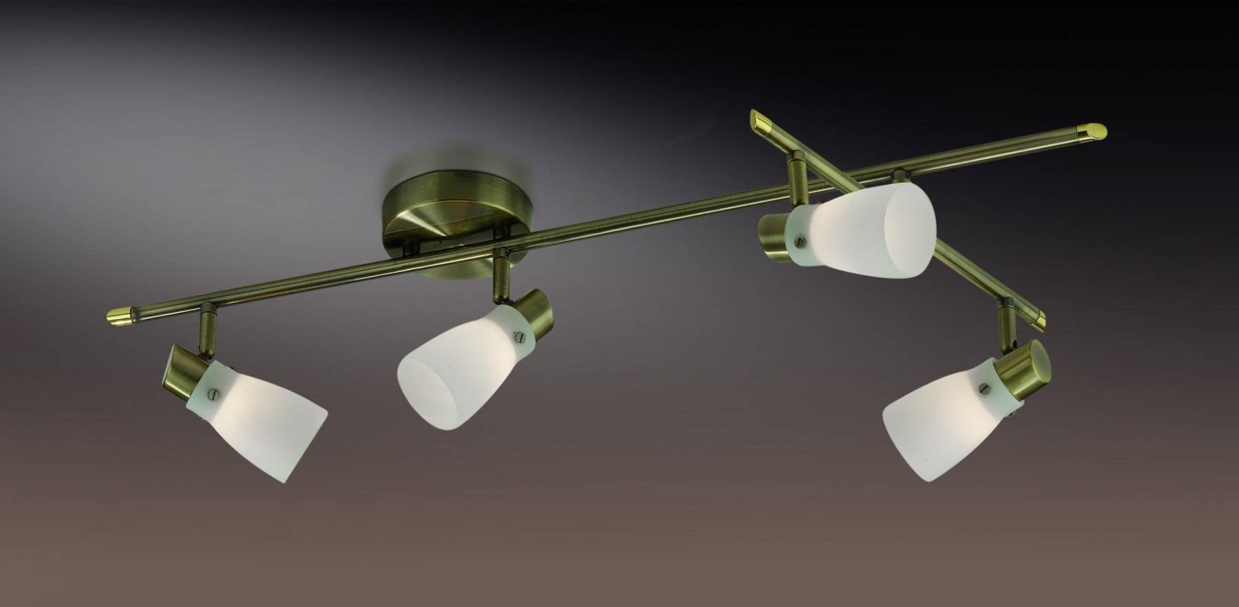2065/4C Светильник спот Odeon Light TERZA 2065/4C