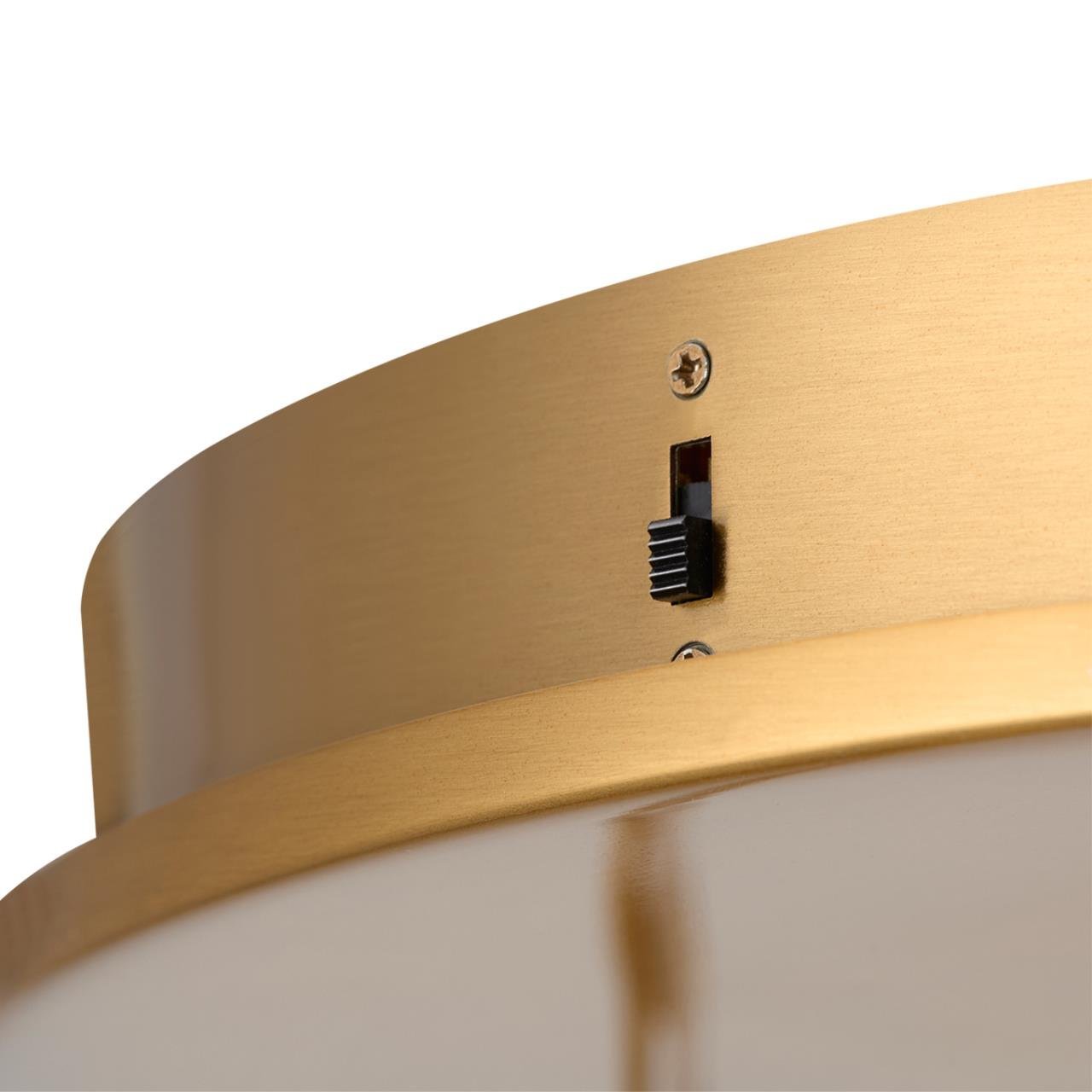 6672/30L Подвесной светильник Parma Odeon Light 6672/30L