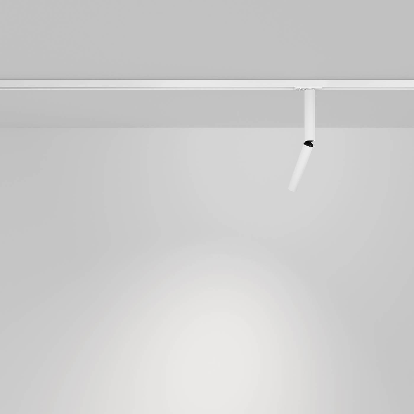 Трековый светильник Maytoni Focus T TR142-1-6W4K-W