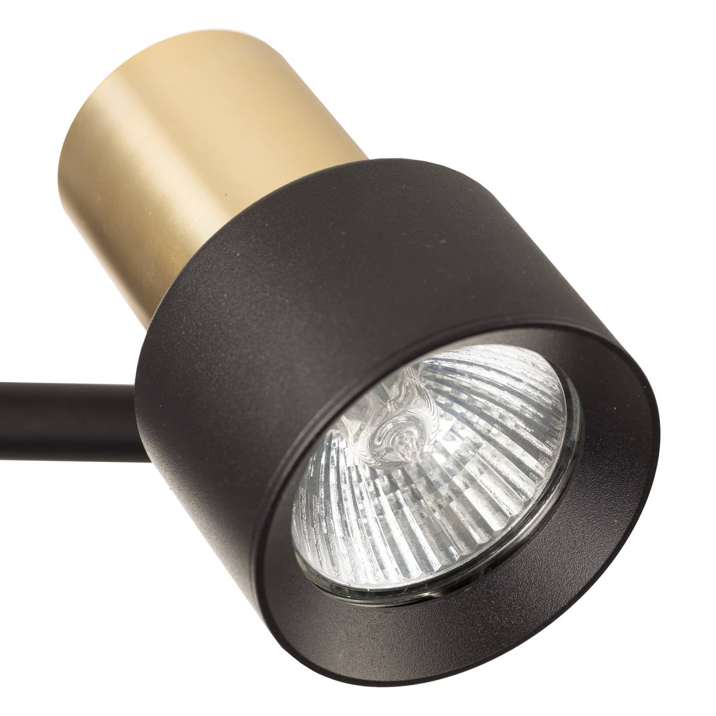 CL505621 Светильник спот Citilux Sat CL505621
