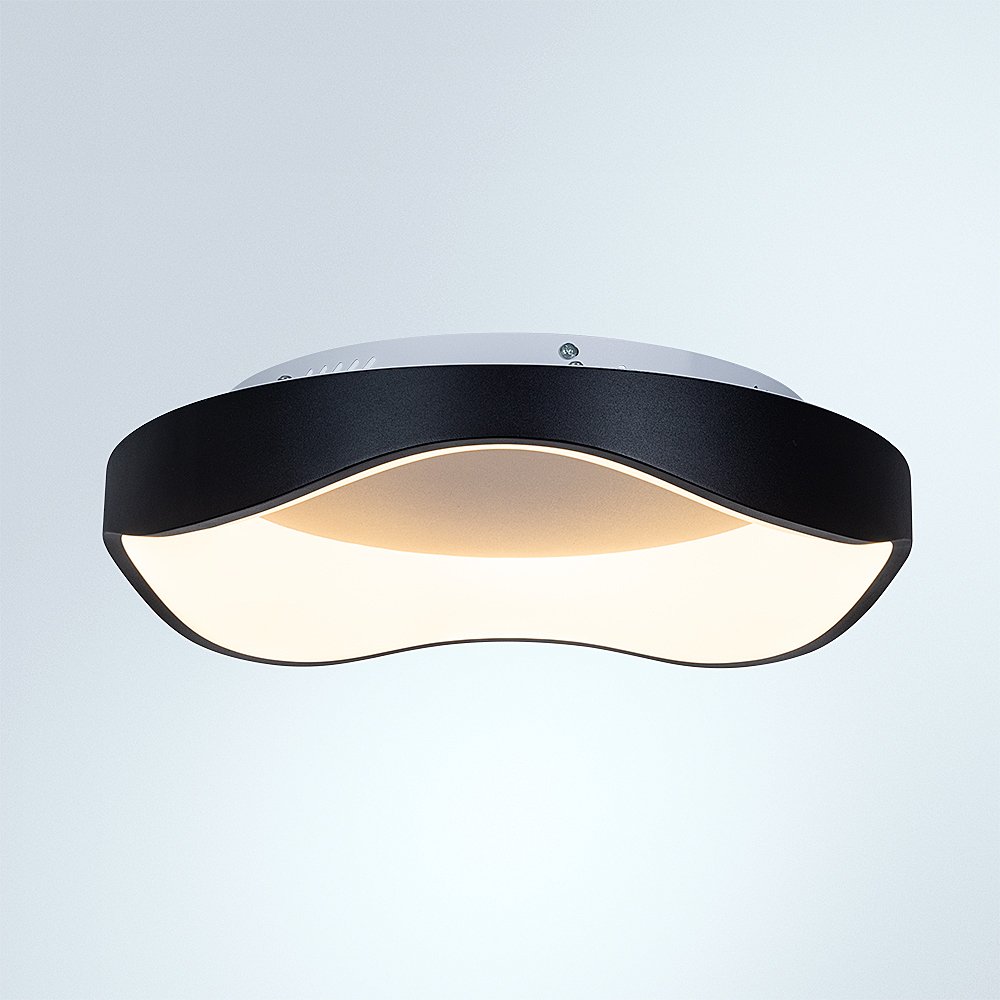 A3085PL-48BK Светильник потолочный Arte Lamp Ankaa A3085PL-48BK