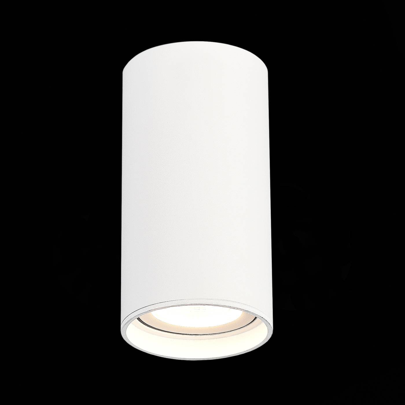 Накладной светильник ST Luce Functional ST157.542.15
