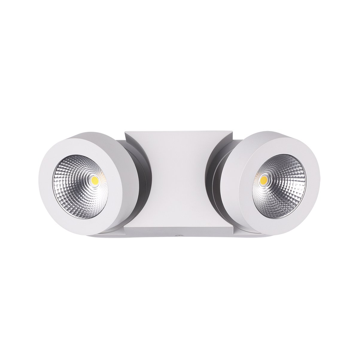 Светильник спот Odeon Light Laconis 3538/2WL