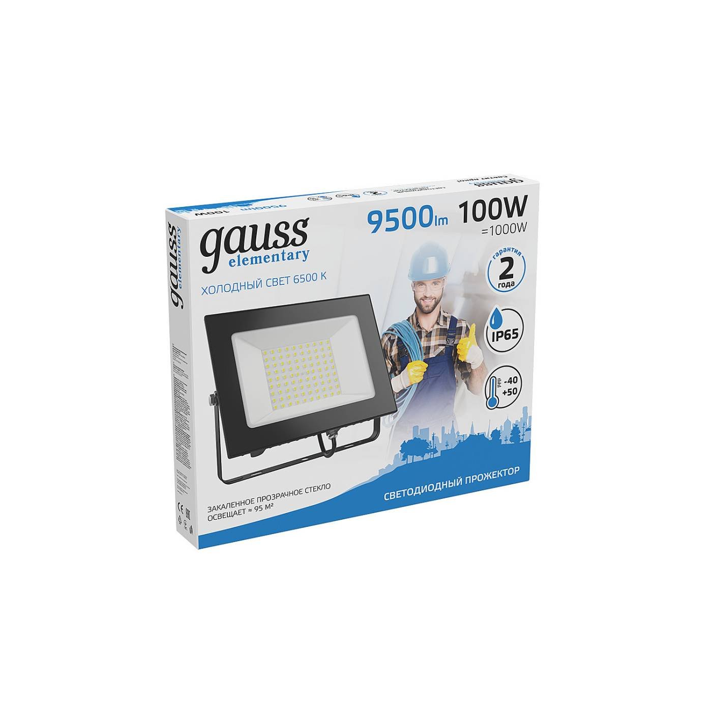 Прожектор уличный светодиодный Gauss Elementary 6500K 613100100