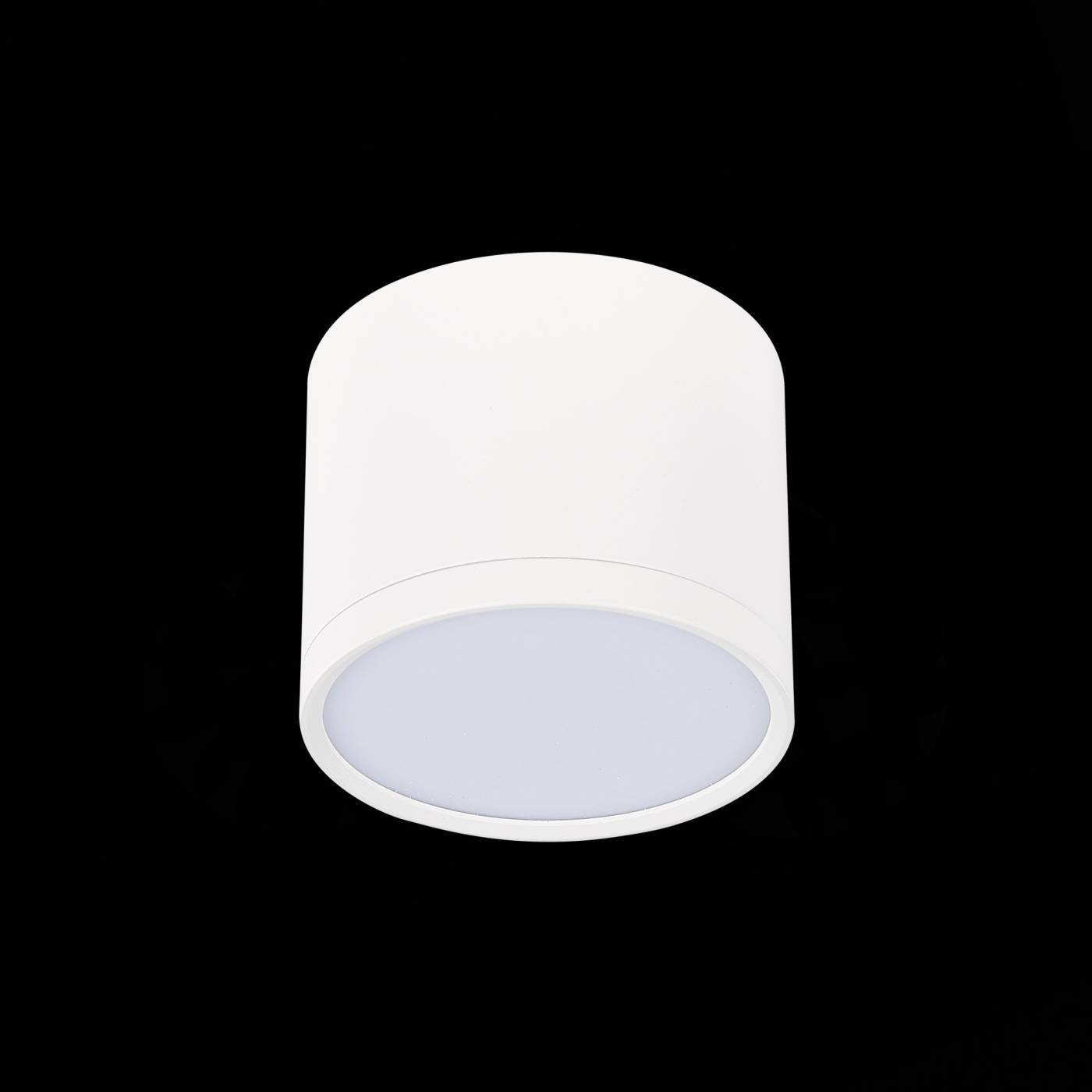 ST113.532.09 Накладной светильник ST Luce Rene ST113.532.09