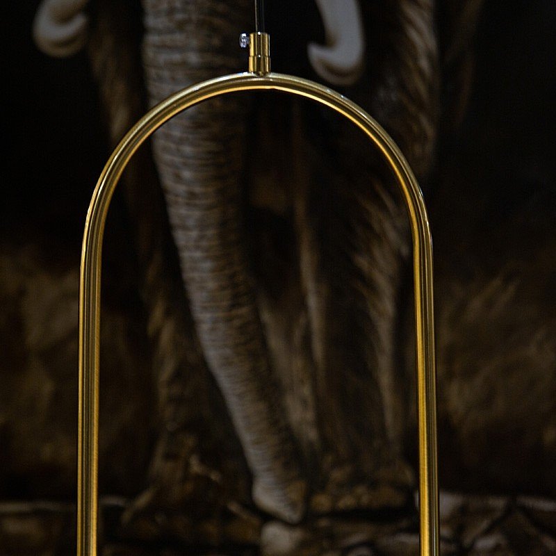 Светильник подвесной L'Arte Luce Luxury Gosca L54503.86