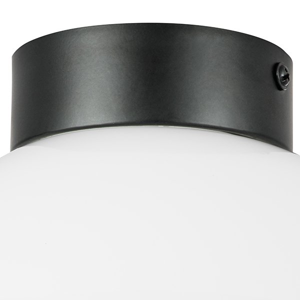 812117 Светильник потолочный Lightstar Globo 812117