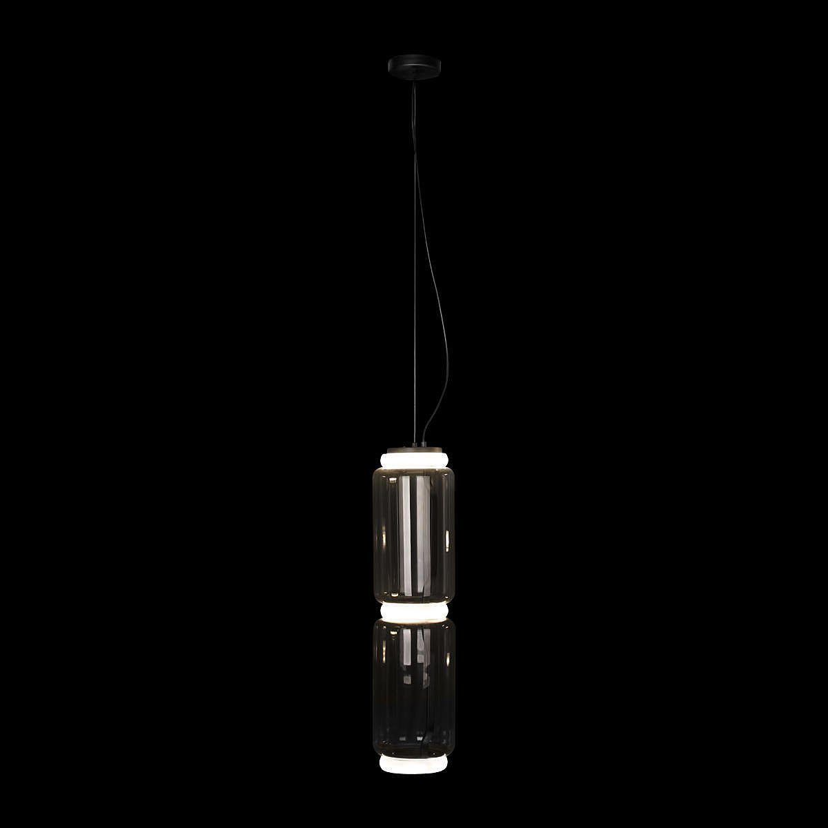 Светильник подвесной Loft It Noctambule 10194/M