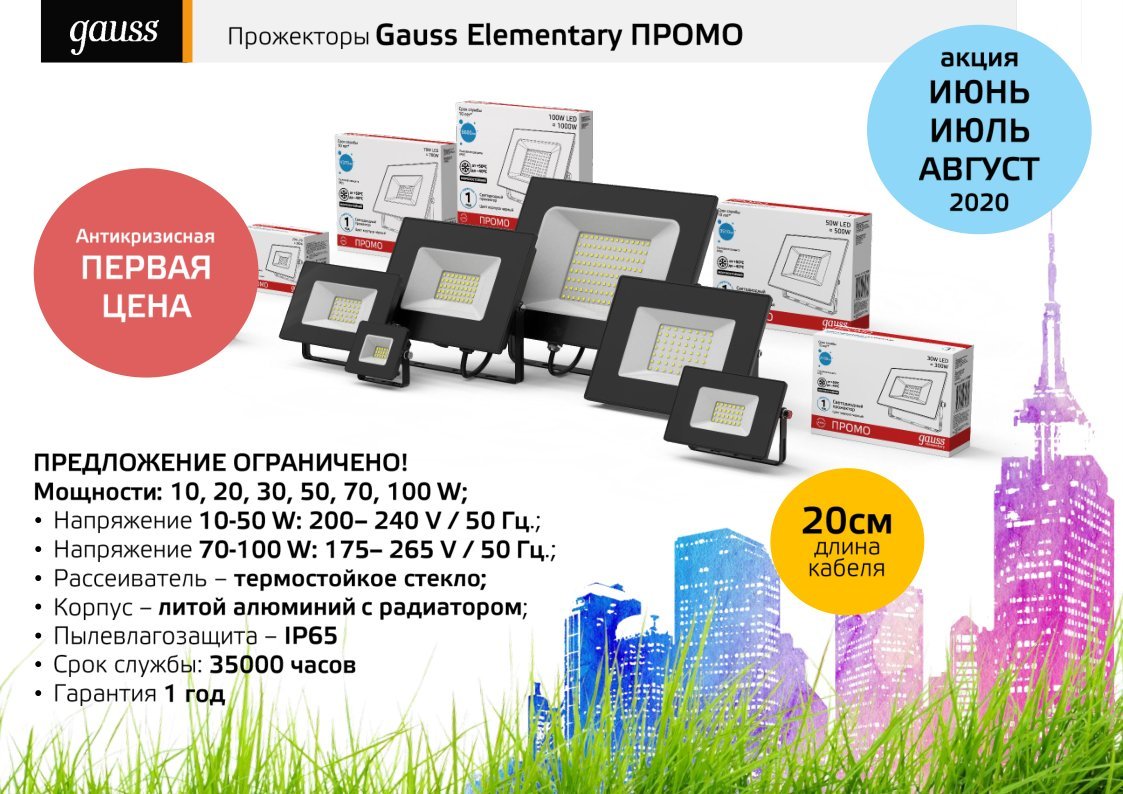 Прожектор уличный светодиодный Gauss Elementary ПРОМО 6500K 613100320P