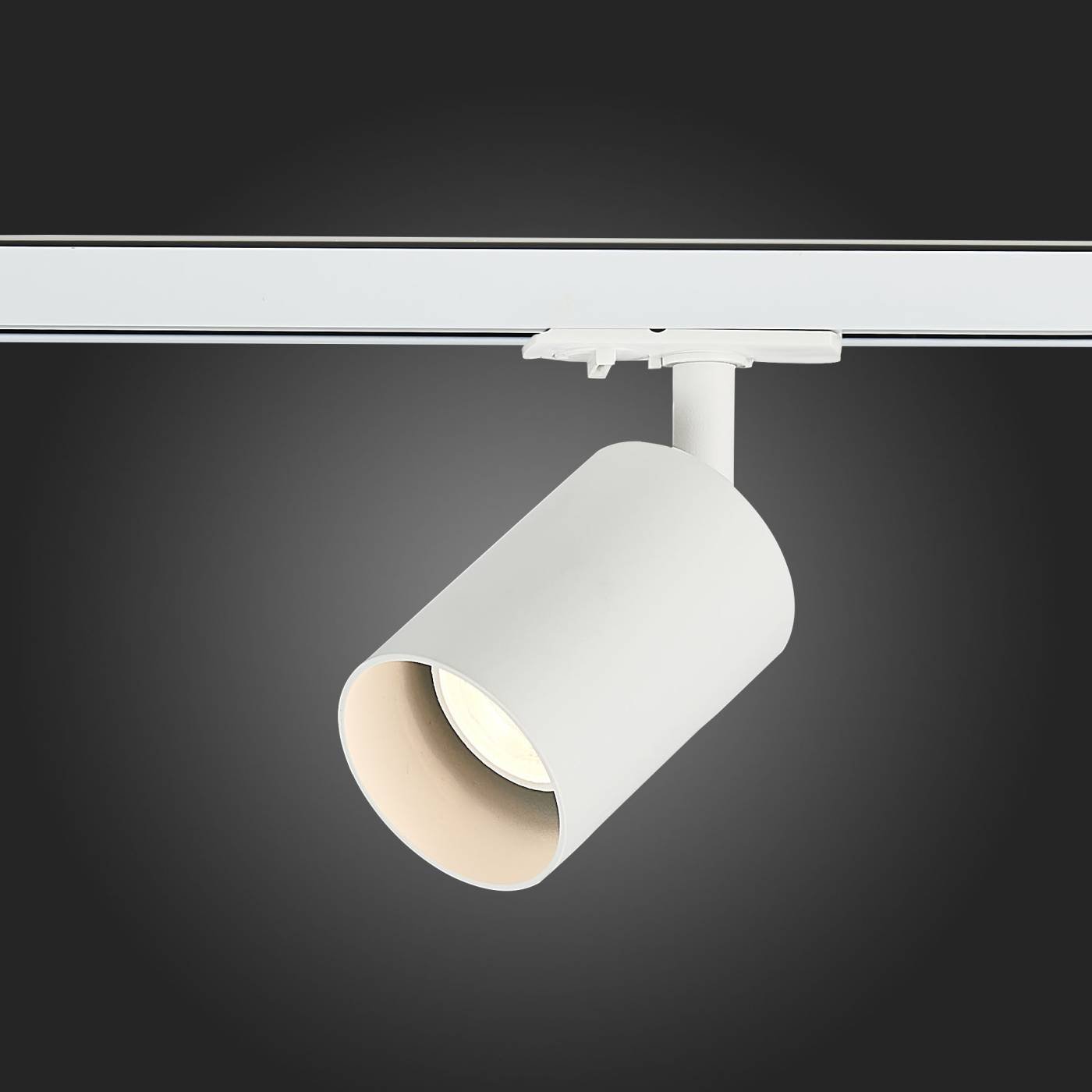 ST302.506.01 Трековый светильник ST Luce Vali ST302.506.01