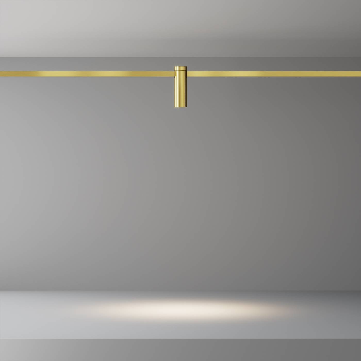 Трековый светильник Maytoni Focus Led TR143-1-5W4K-W-BS