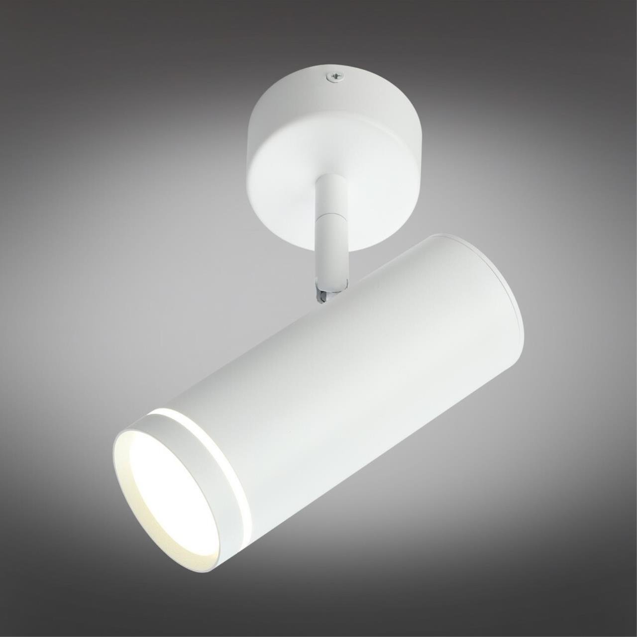 Светильник спот Omnilux Deruta OML-102219-12