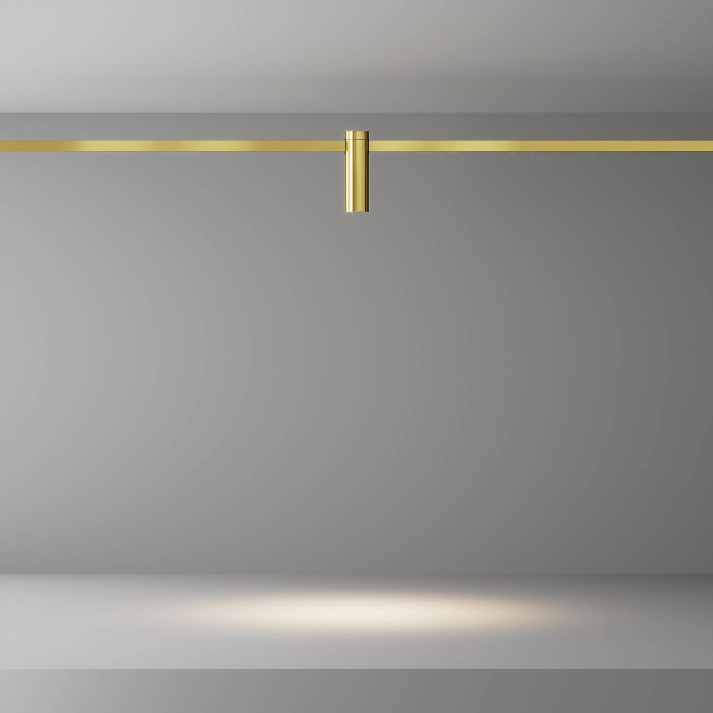 Трековый светильник Maytoni Focus Led TR143-1-5W3K-W-BS