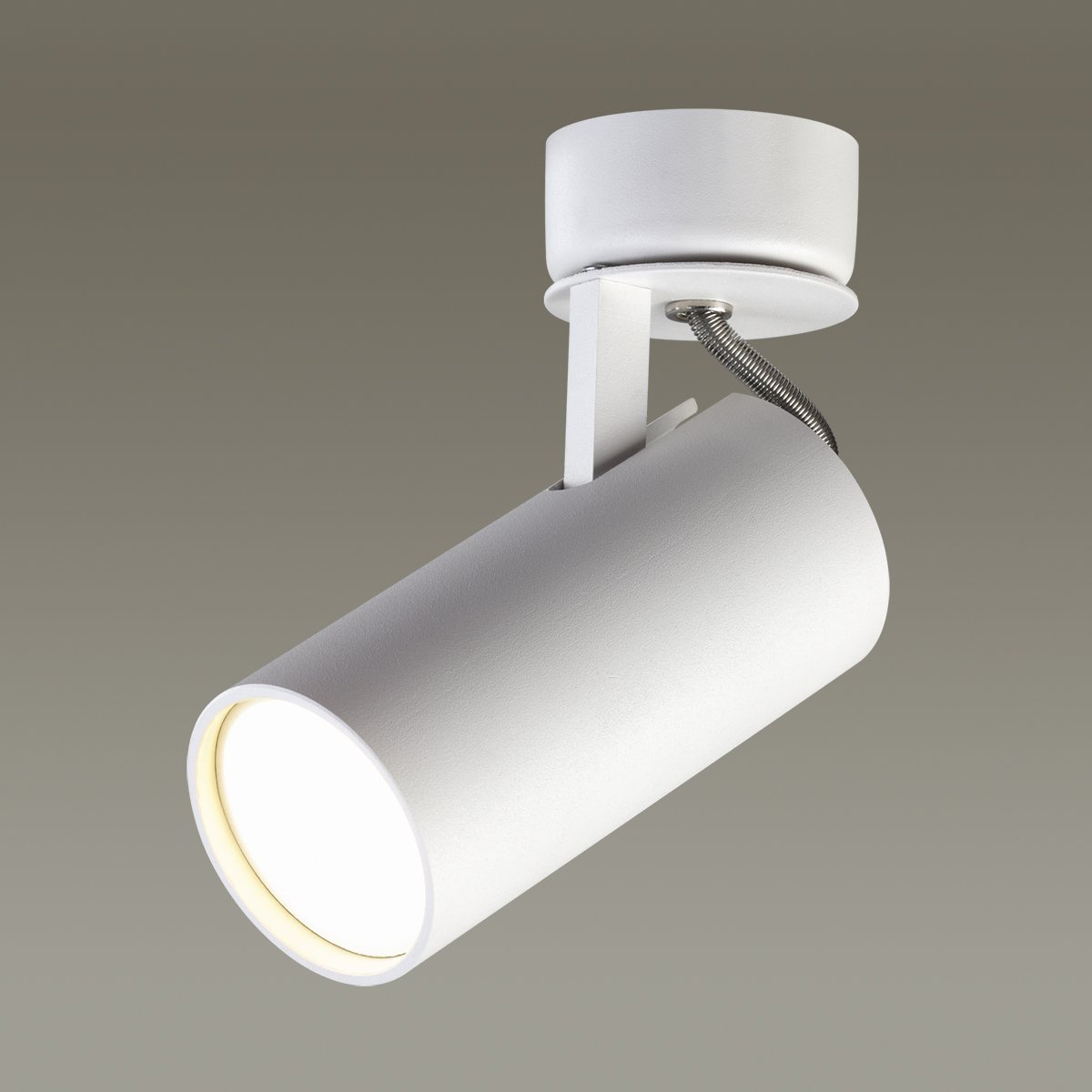 3873/1C Светильник спот Odeon Light Corse 3873/1C