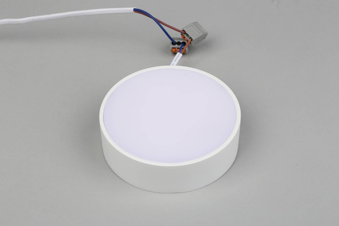 APL.0114.09.12 Светильник потолочный Aployt Evon APL.0114.09.12